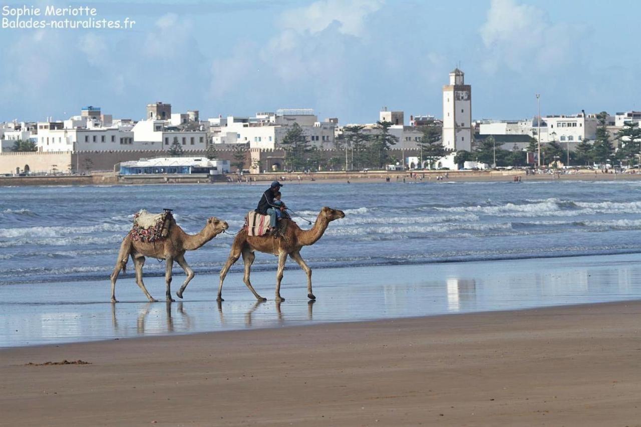 Appartement Essaouira Proche De La Mer Zewnętrze zdjęcie